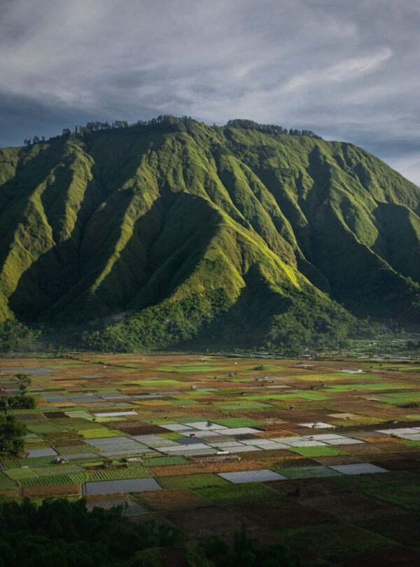 a large green mountain with lots of trees on top of it