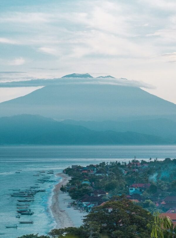 a beach with a body of water and trees around it